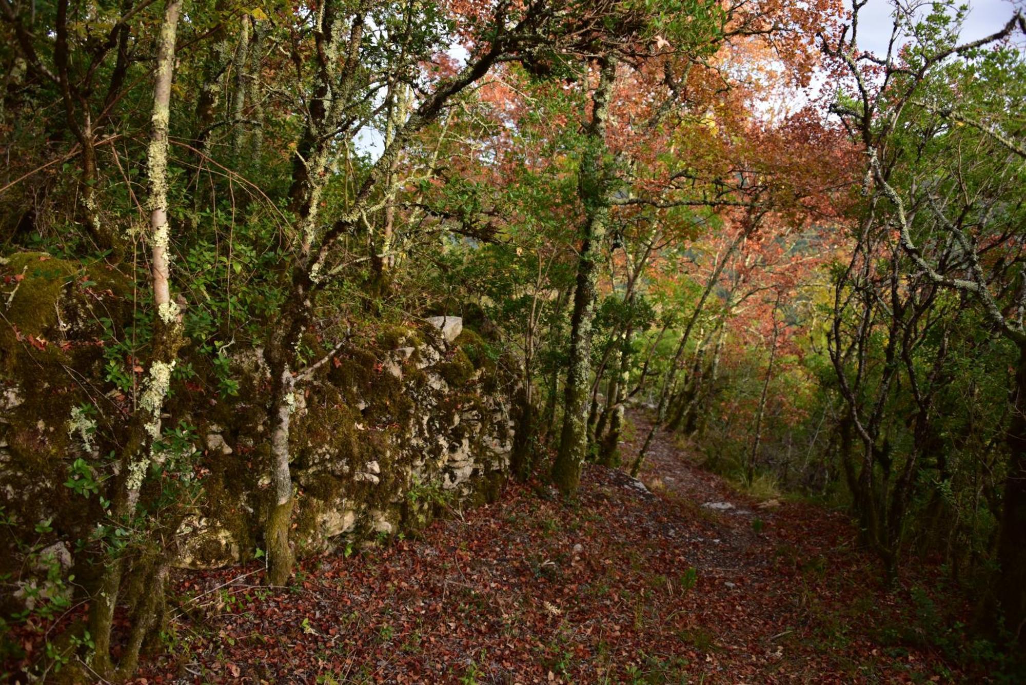 Rataboul Villa Puylaroque Bagian luar foto